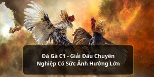 hình đại diện