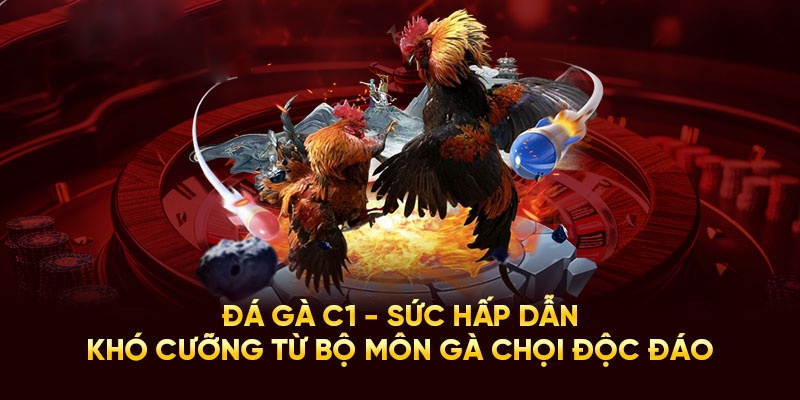 Giải đá gà C1 có sức ảnh hưởng lớn trên thế giới
